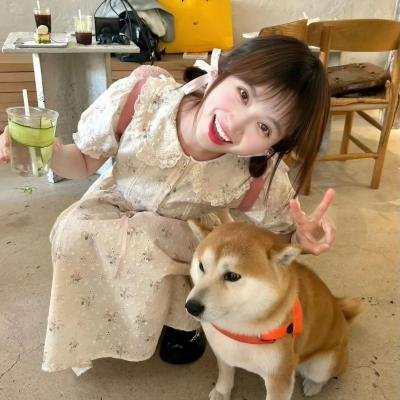 双生赤狐